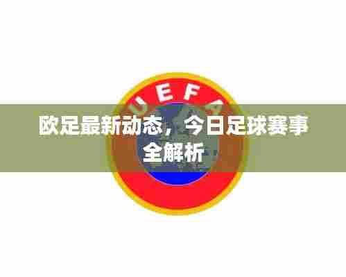 欧足最新动态,今日足球赛事全解析
