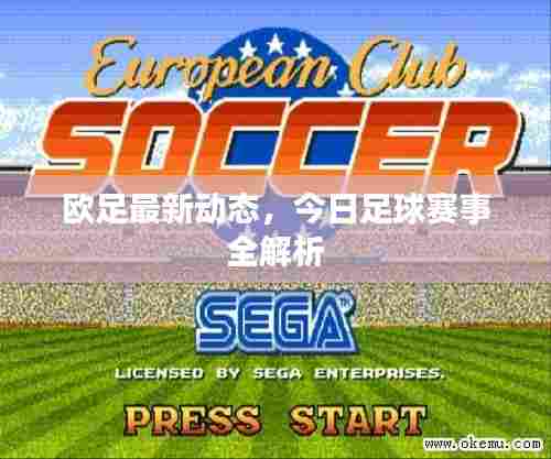 欧足最新动态,今日足球赛事全解析