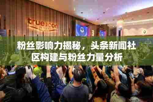 粉丝影响力揭秘,头条新闻社区构建与粉丝力量分析