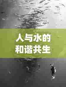 人与水的和谐共生之道,持续共生,探索未来