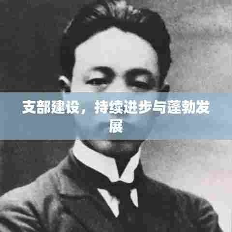 支部建设,持续进步与蓬勃发展