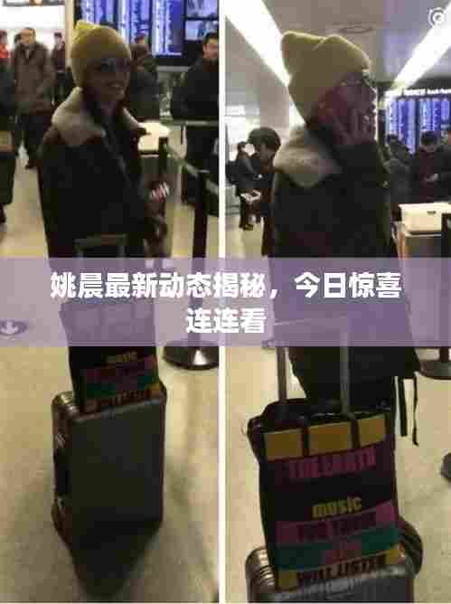 姚晨最新动态揭秘,今日惊喜连连看