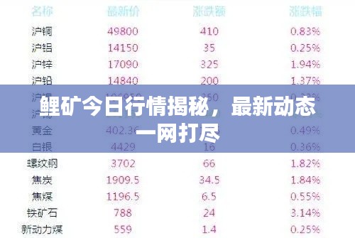 鲤矿今日行情揭秘,最新动态一网打尽