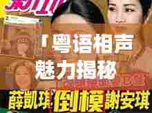 「粤语相声魅力揭秘,百度收录热门标题」