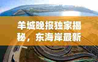 羊城晚报独家揭秘,东海岸最新动态新闻速递
