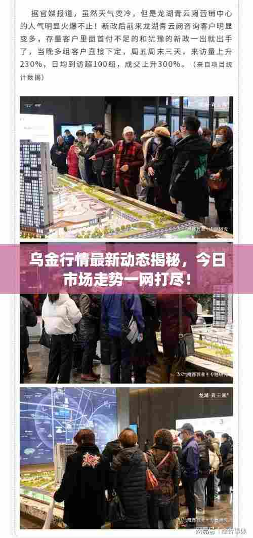 乌金行情最新动态揭秘,今日市场走势一网打尽!