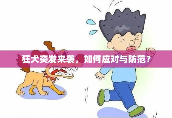 狂犬突发来袭,如何应对与防范?