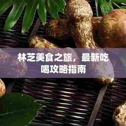 林芝美食之旅，最新吃喝攻略指南