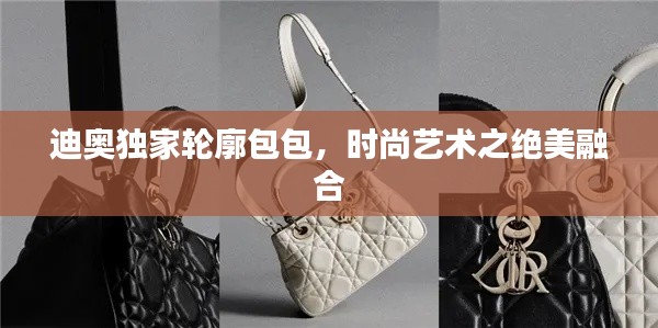 迪奥独家轮廓包包,时尚艺术之绝美融合