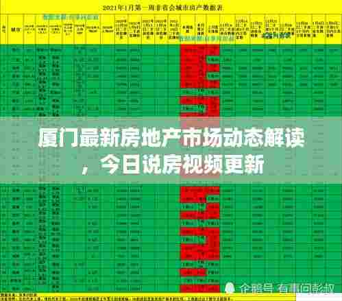厦门最新房地产市场动态解读,今日说房视频更新