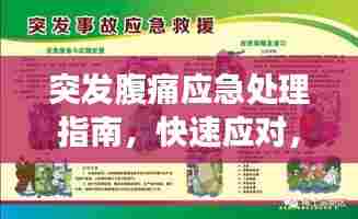 突发腹痛应急处理指南,快速应对,守护健康!