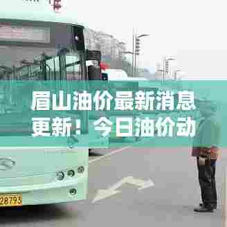 眉山油价最新消息更新！今日油价动态一网打尽