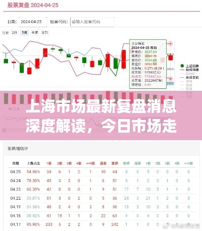 上海市场最新复盘消息深度解读,今日市场走势一网打尽