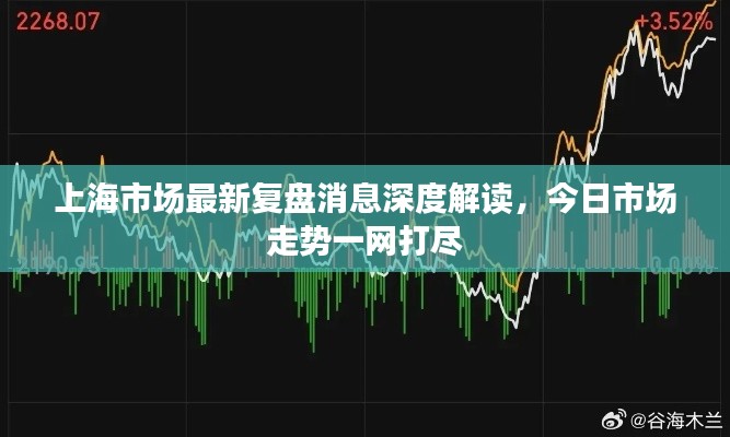 上海市场最新复盘消息深度解读,今日市场走势一网打尽