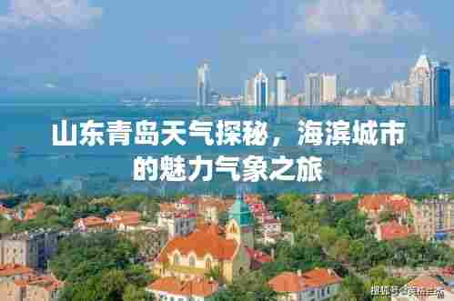 山东青岛天气探秘,海滨城市的魅力气象之旅