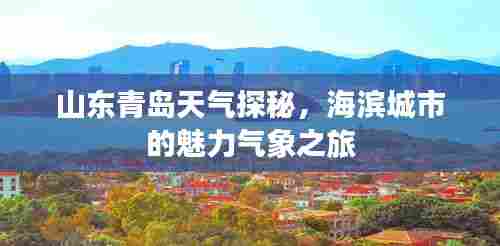 山东青岛天气探秘,海滨城市的魅力气象之旅