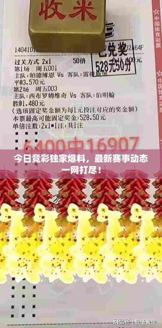今日竞彩独家爆料,最新赛事动态一网打尽!
