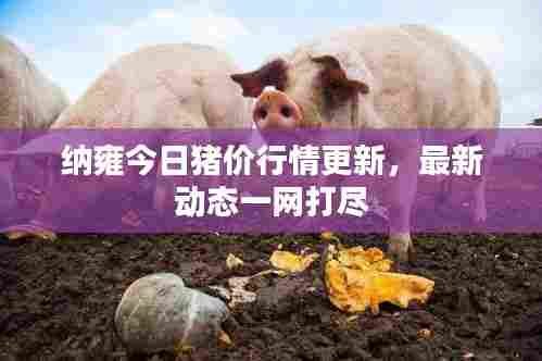 纳雍今日猪价行情更新,最新动态一网打尽