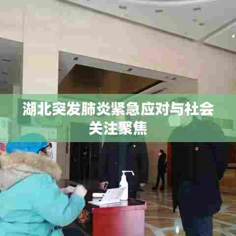 湖北突发肺炎紧急应对与社会关注聚焦