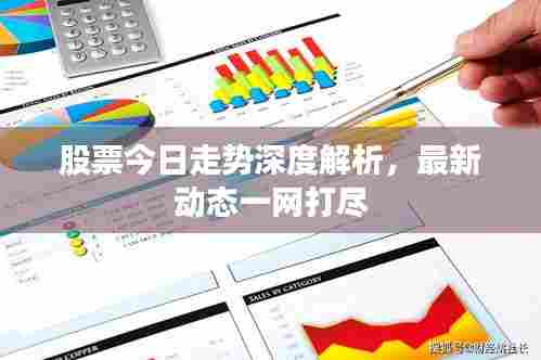 股票今日走势深度解析,最新动态一网打尽