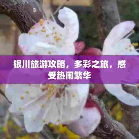 银川旅游攻略,多彩之旅,感受热闹繁华