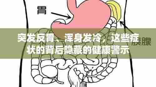 突发反胃、浑身发冷,这些症状的背后隐藏的健康警示