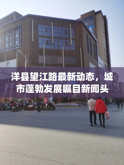 洋县望江路最新动态,城市蓬勃发展瞩目新闻头条