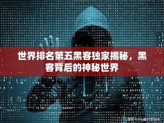 世界排名第五黑客独家揭秘,黑客背后的神秘世界