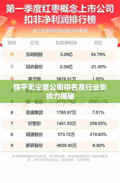 饶平无尘室公司排名及行业影响力揭秘