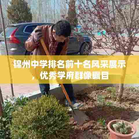 锦州中学排名前十名风采展示,优秀学府群像瞩目