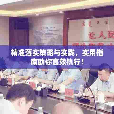 精准落实策略与实践,实用指南助你高效执行!