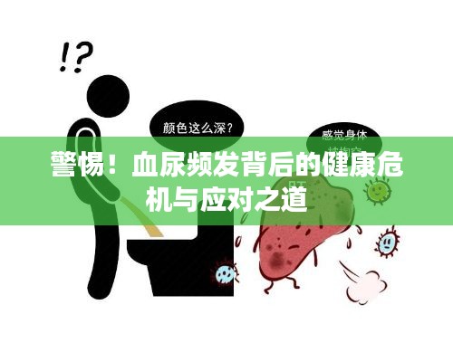 警惕!血尿频发背后的健康危机与应对之道