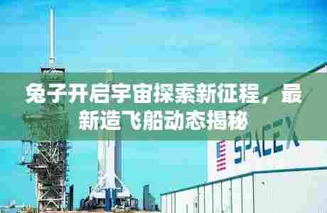 兔子开启宇宙探索新征程,最新造飞船动态揭秘