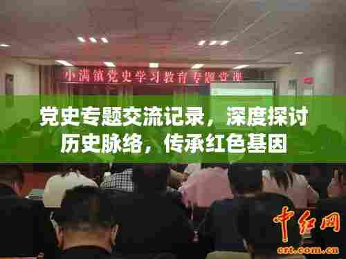 党史专题交流记录,深度探讨历史脉络,传承红色基因
