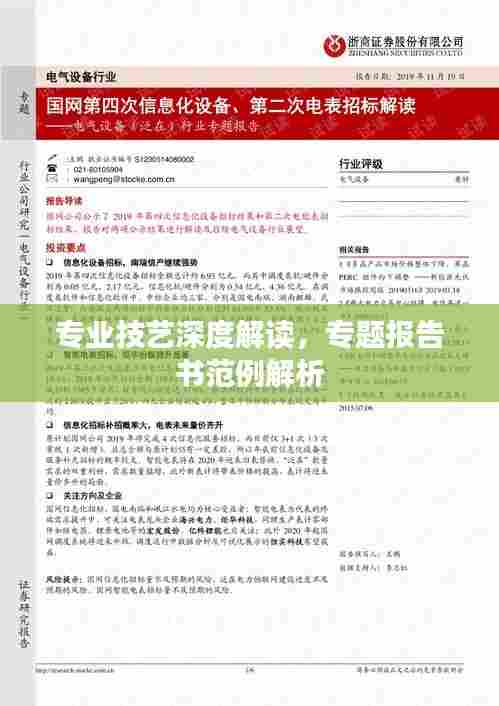 专业技艺深度解读,专题报告书范例解析