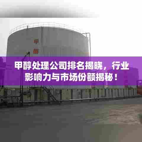 甲醇处理公司排名揭晓，行业影响力与市场份额揭秘！