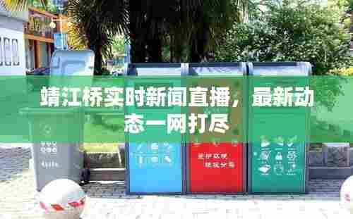 靖江桥实时新闻直播，最新动态一网打尽