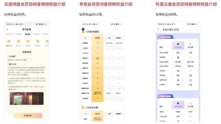 大番号官方下载，标准化实施程序分析云端版_v5.608——专业级工具的综合介绍