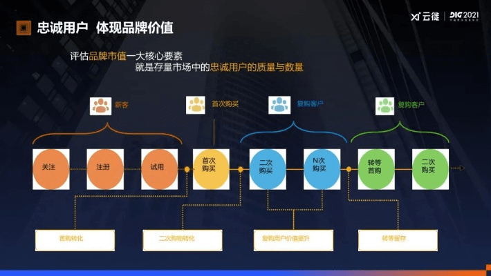 天街版本,深入执行数据方案_创意版1_v9.752