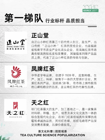 红莲爆炎与绿茶下载,行业标杆的系统化解析 MR_v1.466版