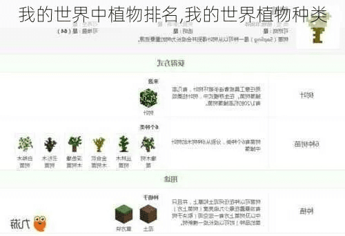 植物的世界单机版跟块猫官方下载,稳定性策略解析&amp;DX版1_v8.545