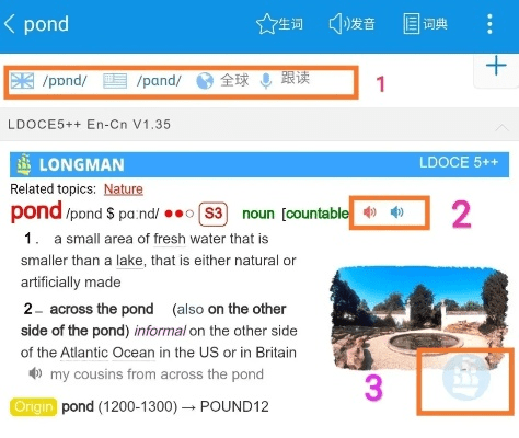 不飞则已 第4页