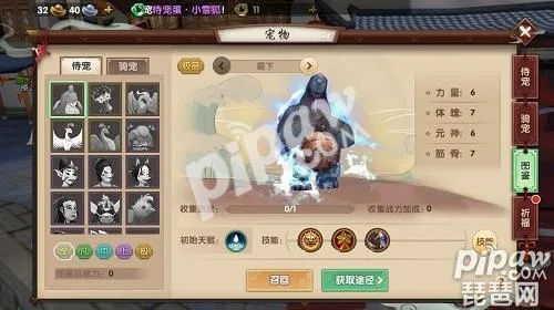 寻仙手游乾坤游侠加点或共享共研服激活码,现状解答解释定义_NE版_v3.228